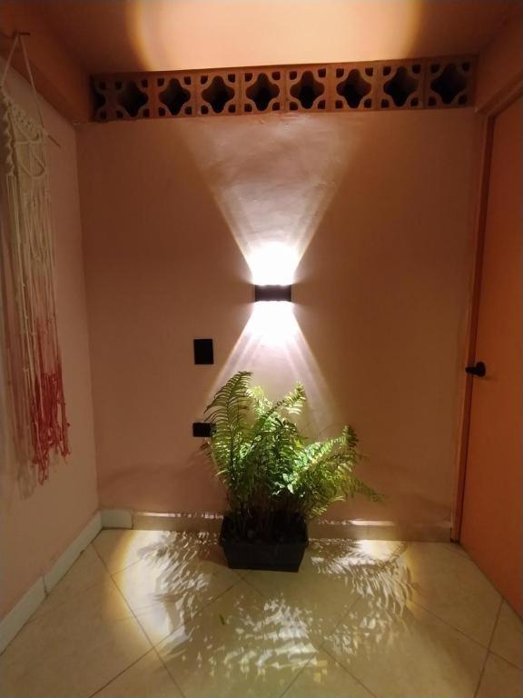 Hostal Casa Primavera Medellín Zewnętrze zdjęcie