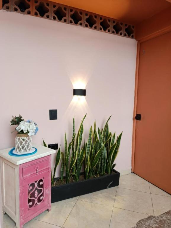 Hostal Casa Primavera Medellín Zewnętrze zdjęcie