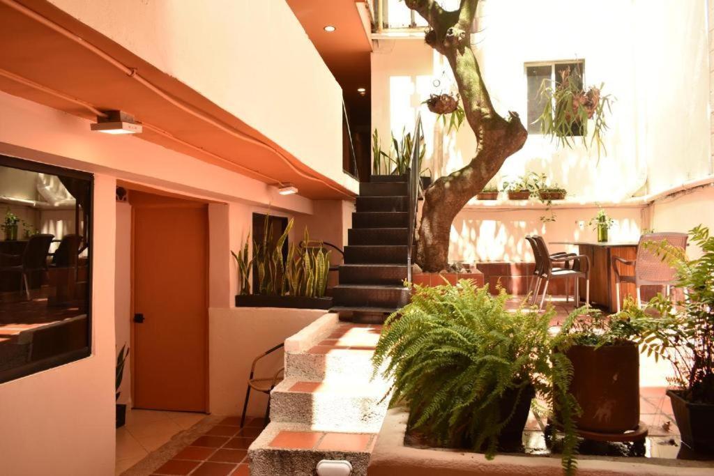 Hostal Casa Primavera Medellín Zewnętrze zdjęcie